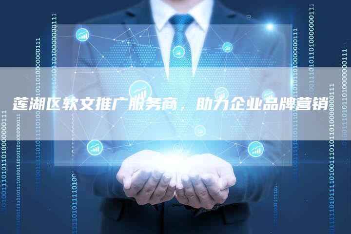 莲湖区软文推广服务商，助力企业品牌营销