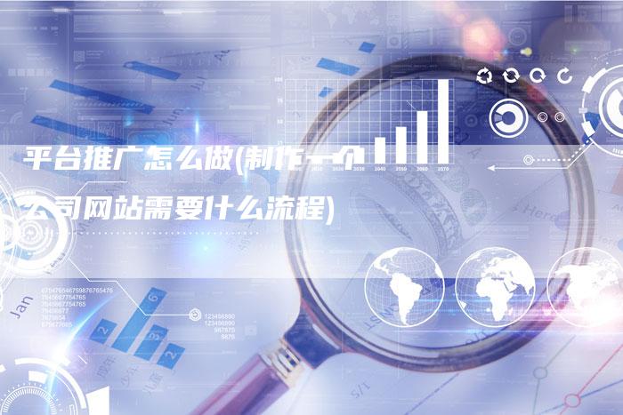 平台推广怎么做(制作一个公司网站需要什么流程)