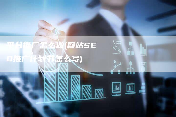 平台推广怎么做(网站SEO推广计划书怎么写)