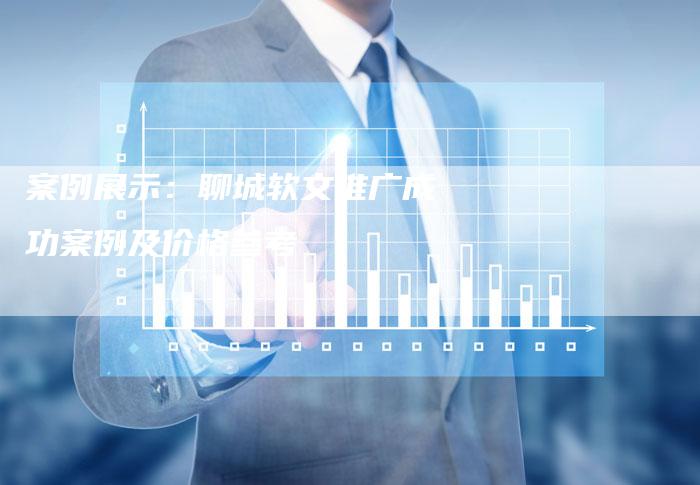 案例展示：聊城软文推广成功案例及价格参考
