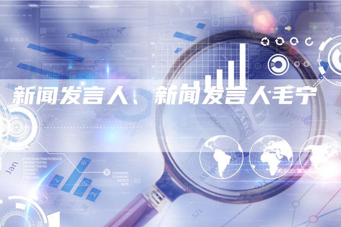 新闻发言人、新闻发言人毛宁