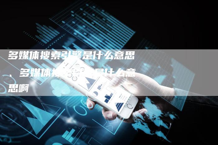 多媒体搜索引擎是什么意思、多媒体搜索引擎是什么意思啊