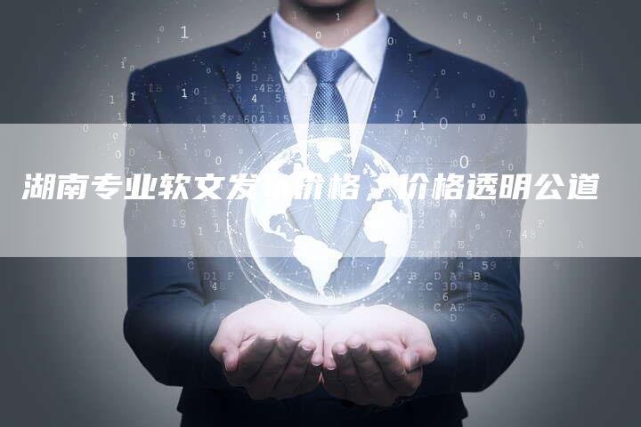 湖南专业软文发布价格，价格透明公道