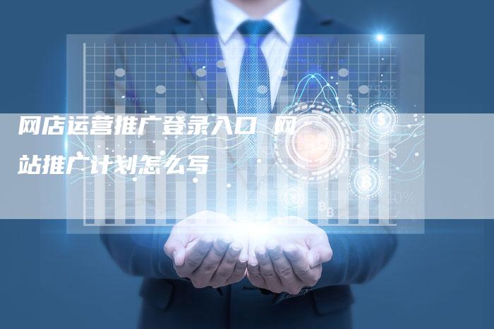网店运营推广登录入口 网站推广计划怎么写